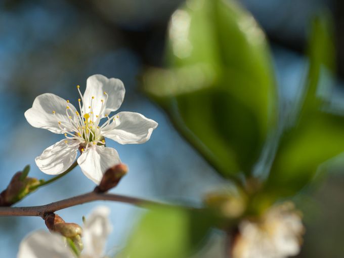 Glaube ist Hoffnung